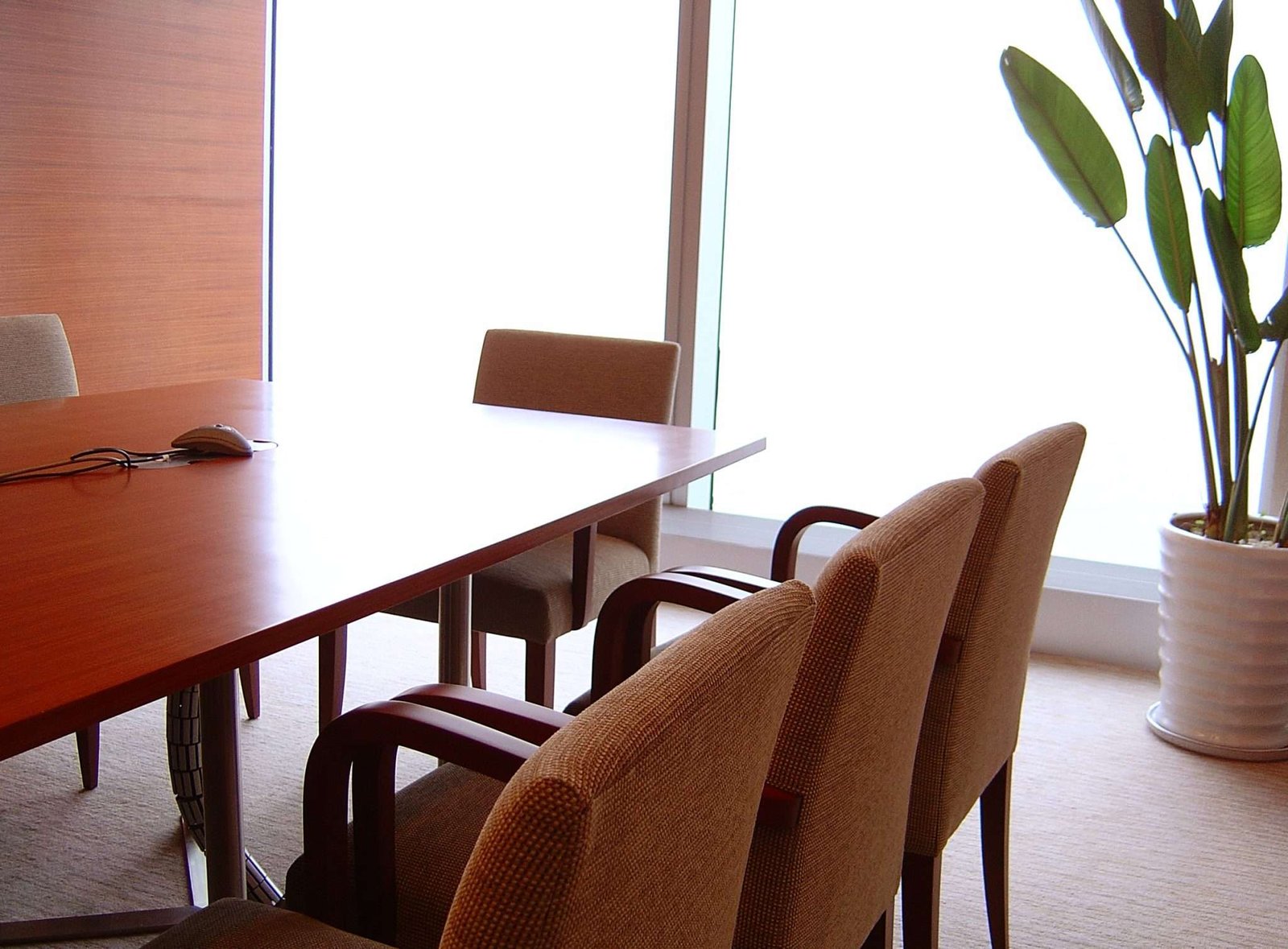 How to Have a Successful Meeting