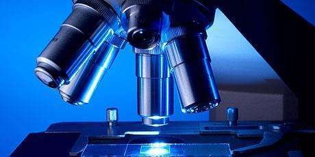 Science and Technology modules
