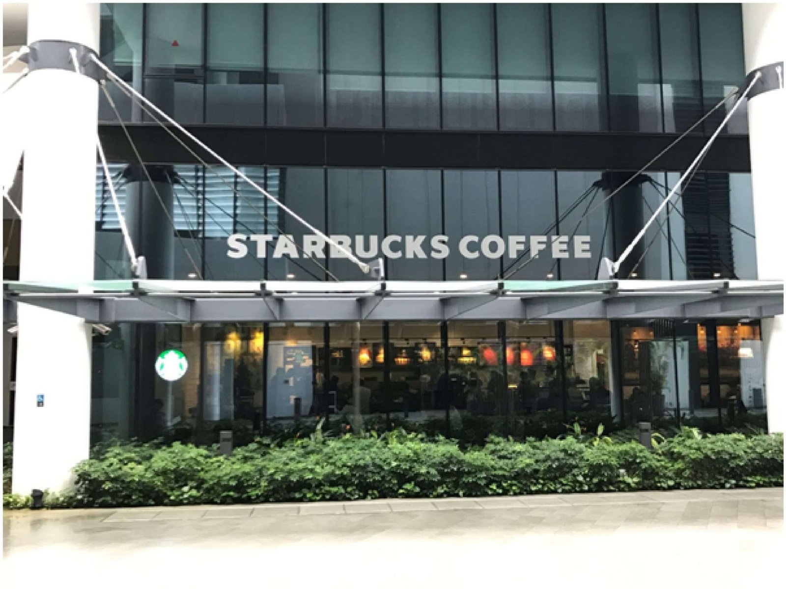 starbucks