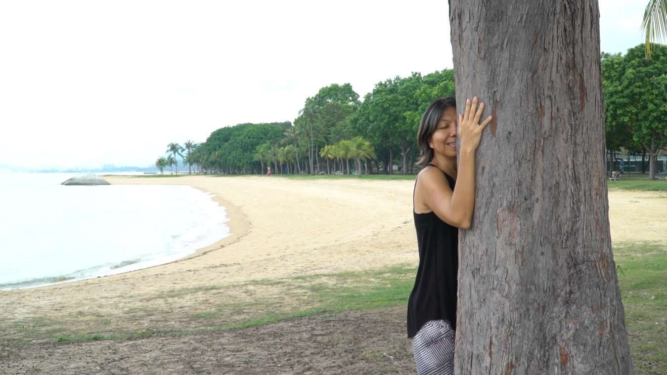 tree20