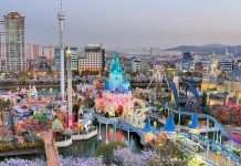 Top 5 Seoul Destinations: Are They Hit or Miss?