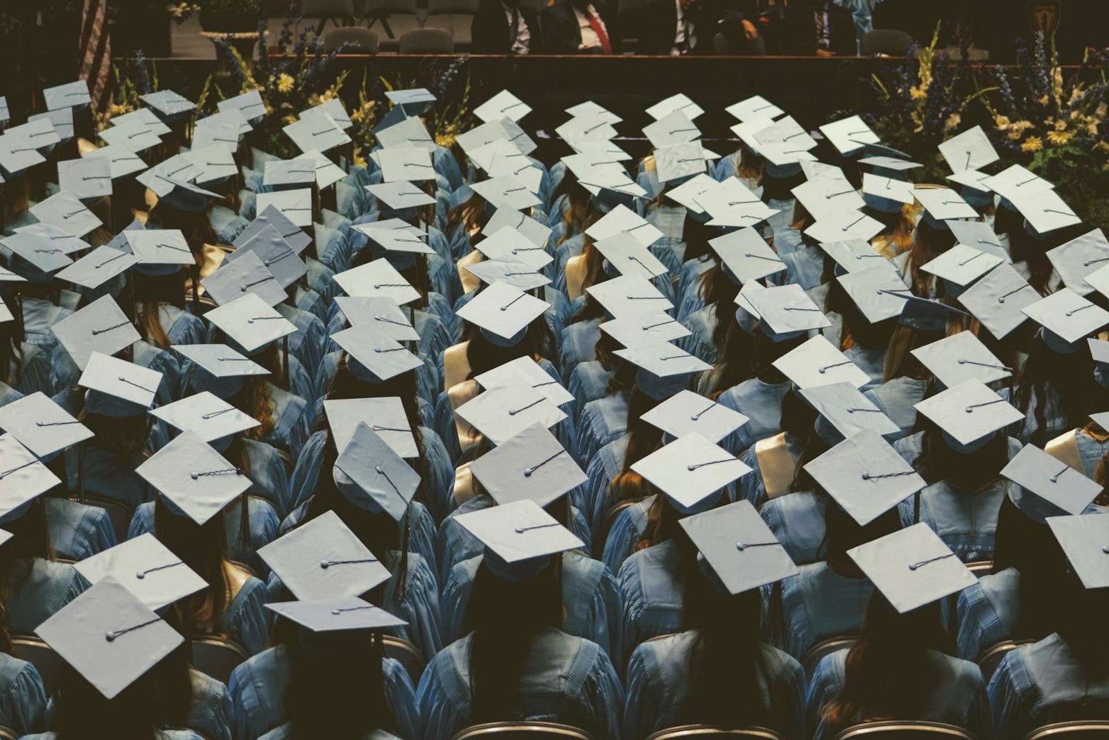 Graduating Soon? 4 Valuable Skills Humanities Students Bring to Their Resumes