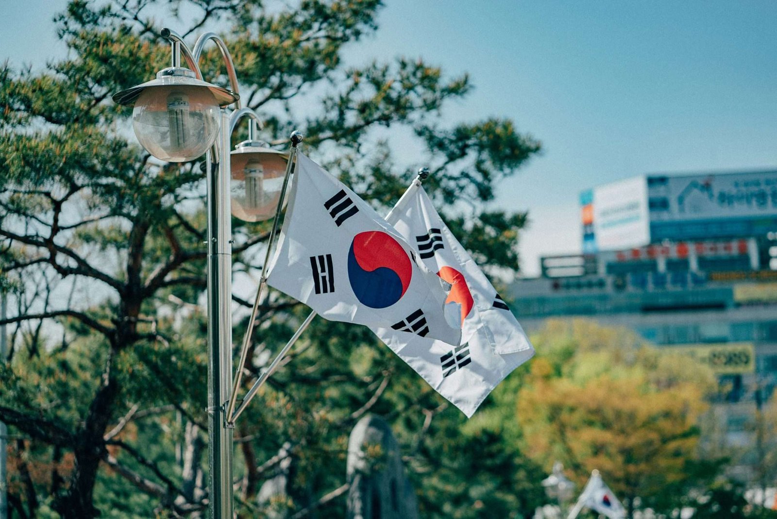 Places to shop on a budget in Korea
